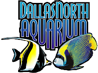 Dallas North Aquarium Logo