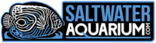 Saltwater Aquarium Logo