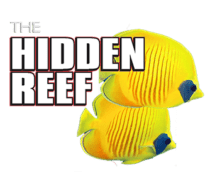 The Hidden Reef Logo